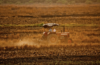 farming supplies harvesting equipment